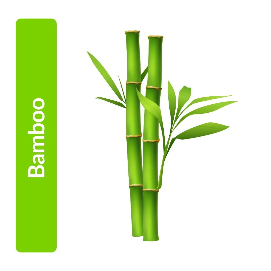 Bamboo Fragrance Oil