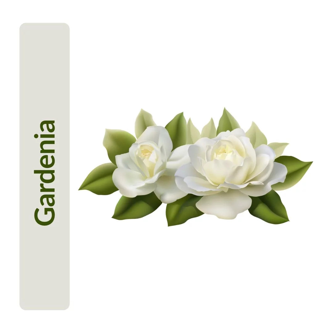 Gardenia
