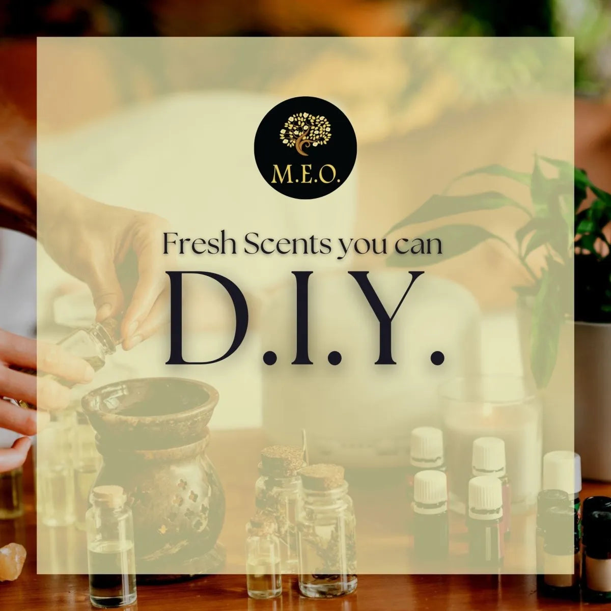 Fresh Scents you can D.I.Y. at home — Mood Essential Oils