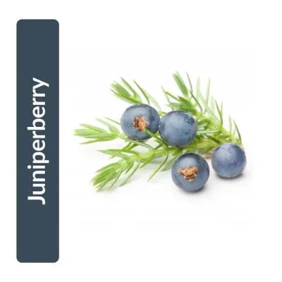 Juniperberry Oil