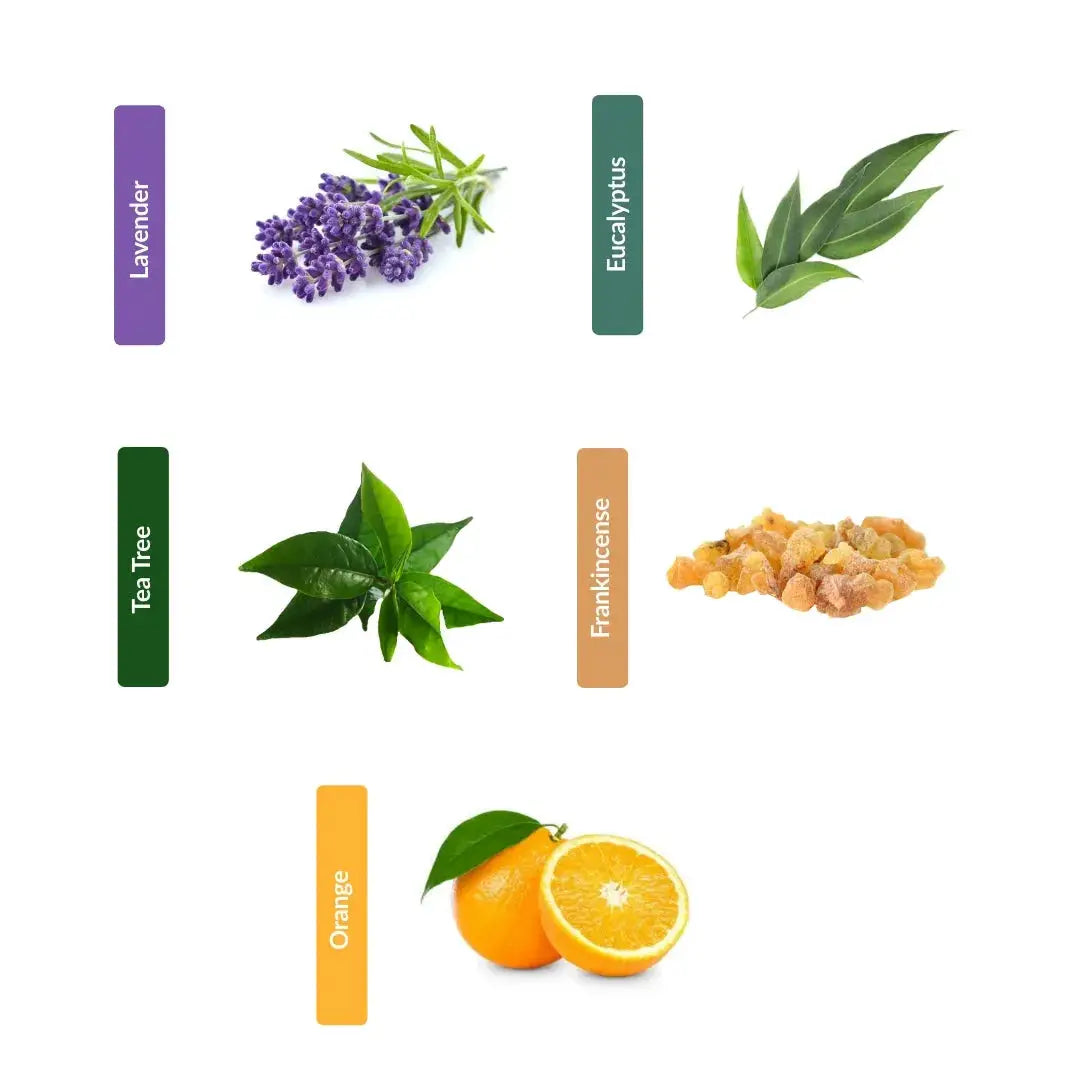 Vanilla Fragrance Oil 20ml Mood Essential Oils Diffuser Oils Essential Oils Electric